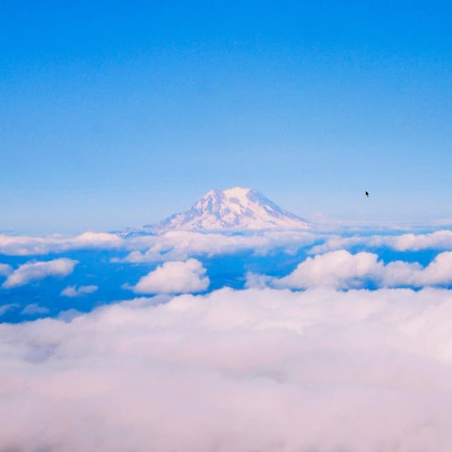 Cover of EANSTRUMENTALS 1 (2024)